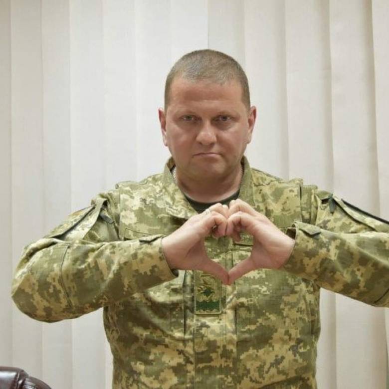 Головнокомандувач ЗСУ Валерій Залужний привітав волинське місто зі ...