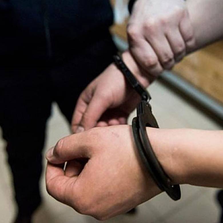 У Ковелі спіймали серійного злодія - Ins…